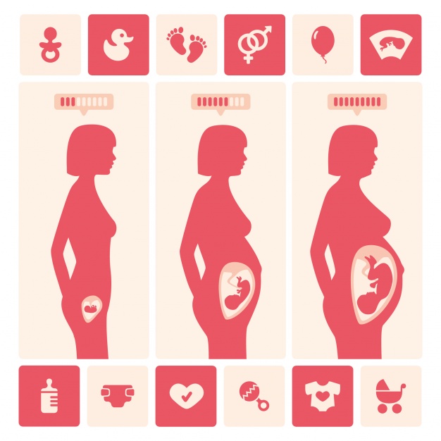 新生命的開始─懷孕歷程文章照片